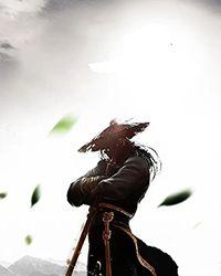 平凡女的半个世界